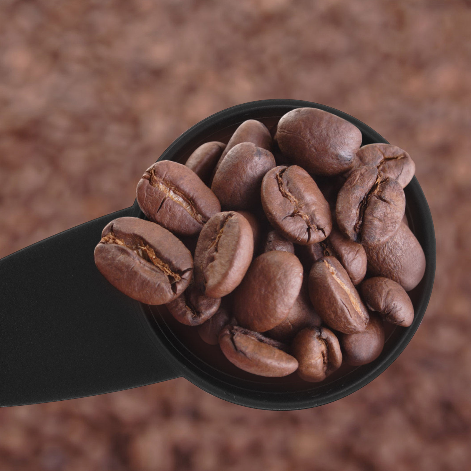 5 個の計量スプーンロングハンドルコーヒー豆スクープポリッシ - Coffee Tea And Bean のレビューと価格